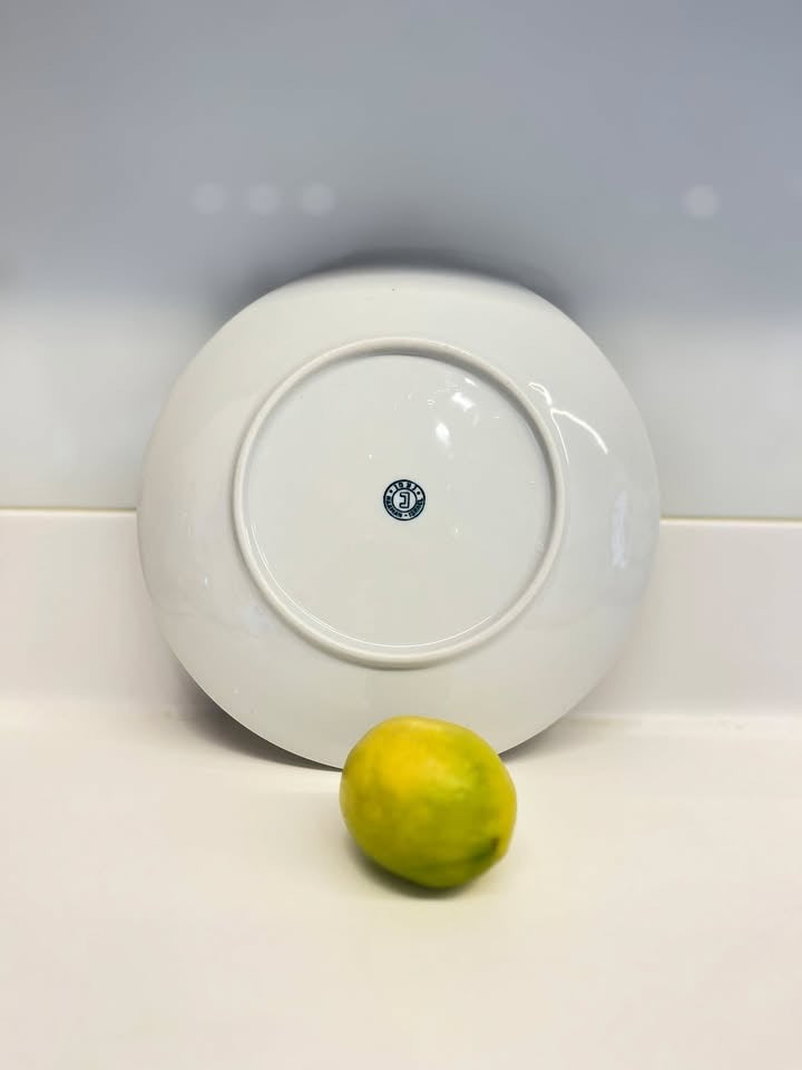 צלחת פורצלן לפסח, נעמן