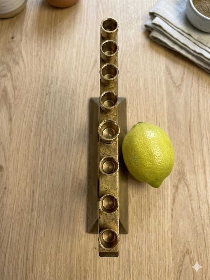 חנוכיית וינטג׳ ישראלית, דייגי