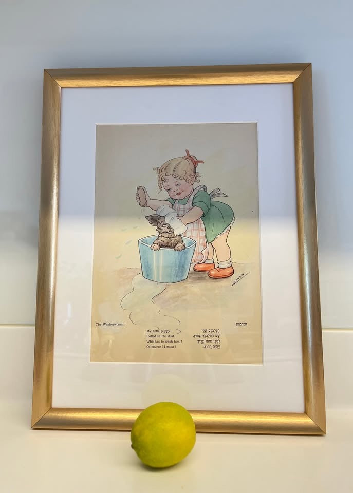 דב דהרי, הדפס לילדים ׳הכובסת׳