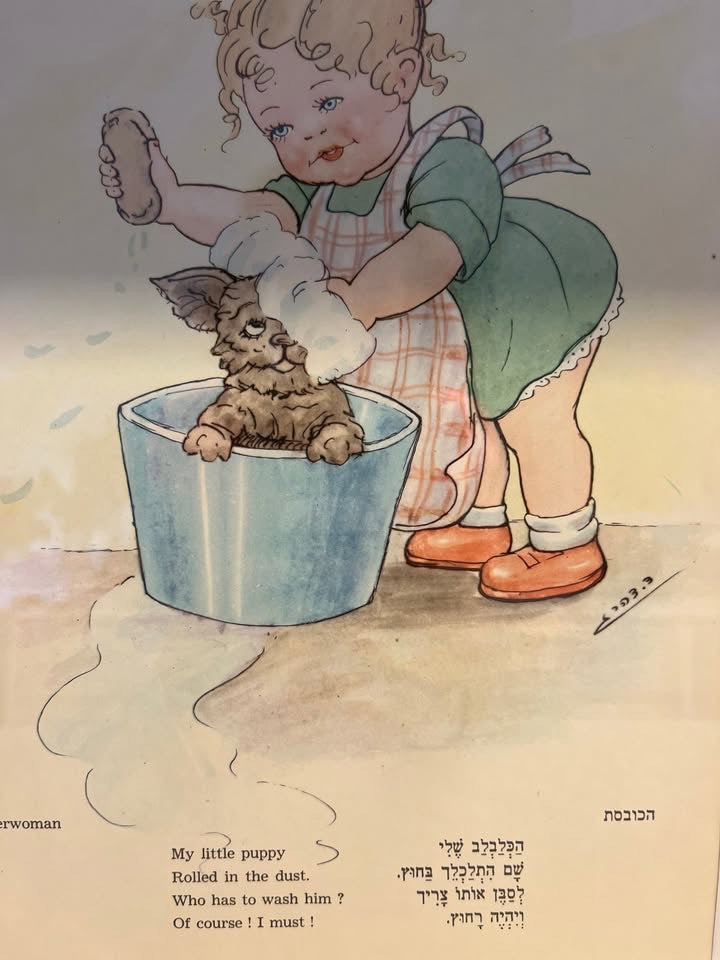 דב דהרי, הדפס לילדים ׳הכובסת׳