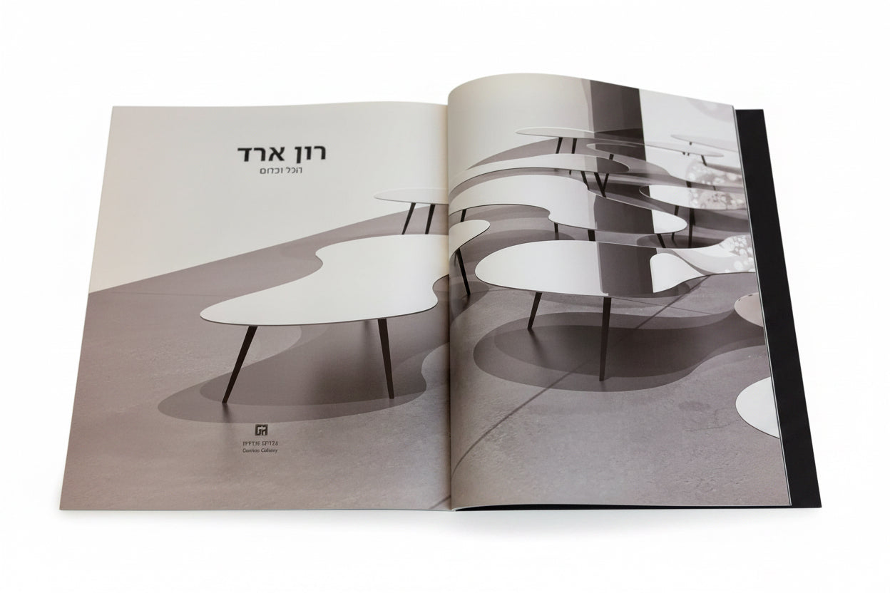 רון ארד | הכל וכלום | קטלוג תערוכה, גלריה גורדון, 2018